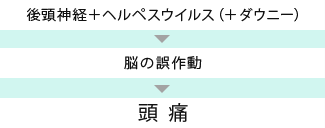 後頭神経+ヘルペスウイルス(+ダウニー)→脳の誤作動→頭痛