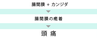 腸間膜+カンジダ→腸間膜の癒着→頭痛