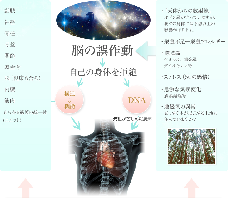 図解